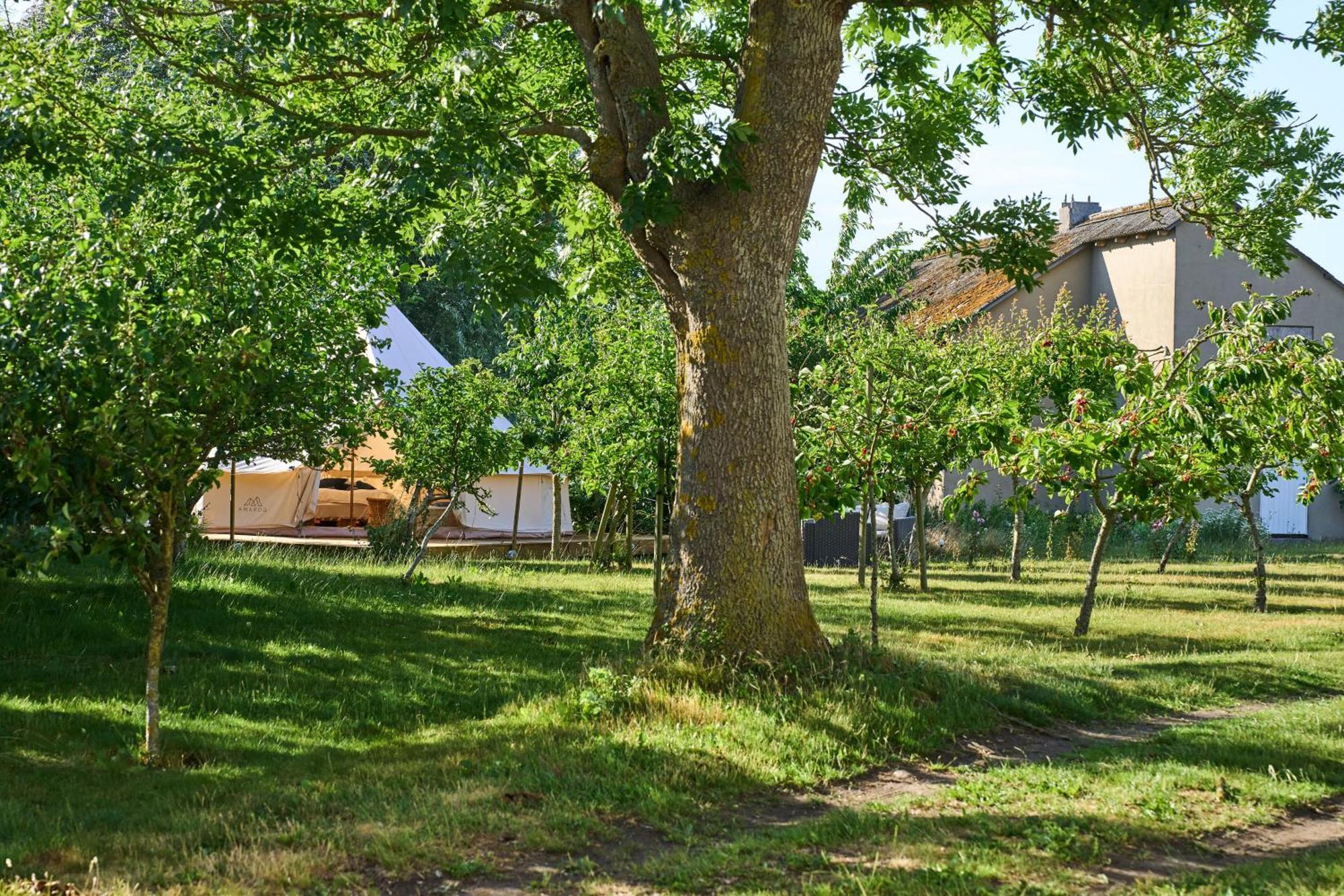 Отель Hesselgaard Glamping Dalby Экстерьер фото